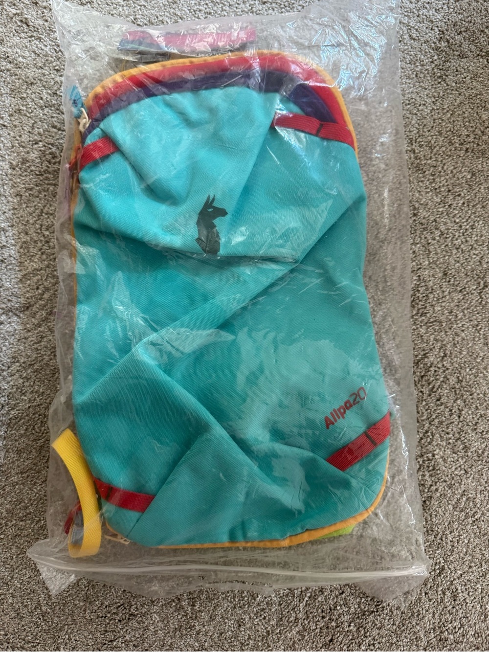Cotopaxi Kids Backpack - Teal with Red & Yellow Trim